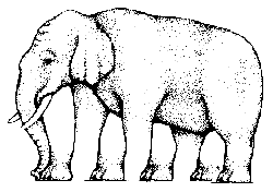 how many legs does this elephant have